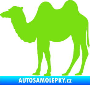 Samolepka Velbloud 003 levá zelená kawasaki