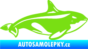 Samolepka Velryba 004 pravá zelená kawasaki