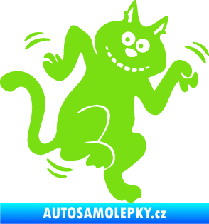 Samolepka Veselá kočka pravá zelená kawasaki