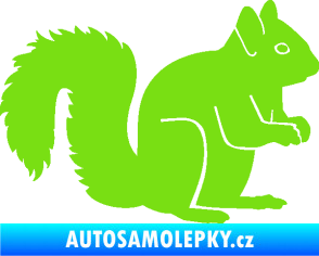 Samolepka Veverka 001 pravá zelená kawasaki