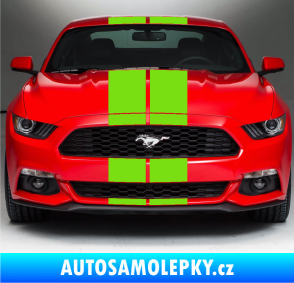 Samolepka Viper pruhy 20 cm (dva stejně široké) zelená kawasaki