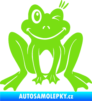 Samolepka Žába 010 pravá mrkající zelená kawasaki