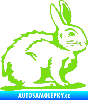 Samolepka Zajíček 001 pravá zelená kawasaki