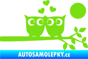 Samolepka Zamilované sovy pravá na větvičce zelená kawasaki