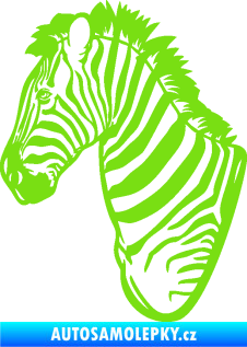Samolepka Zebra 001 levá hlava zelená kawasaki