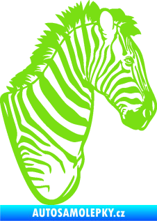 Samolepka Zebra 001 pravá hlava zelená kawasaki