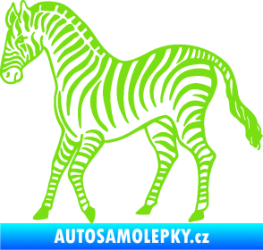 Samolepka Zebra 002 levá zelená kawasaki