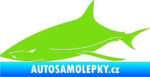 Samolepka Žralok 008 levá zelená kawasaki