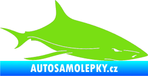 Samolepka Žralok 008 pravá zelená kawasaki