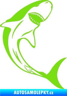 Samolepka Žralok 010 pravá zelená kawasaki