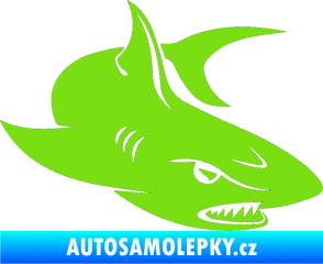 Samolepka Žralok 012 pravá zelená kawasaki