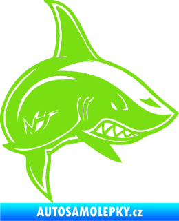 Samolepka Žralok 013 pravá zelená kawasaki