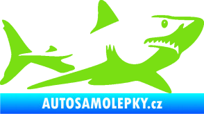 Samolepka Žralok 015 pravá zelená kawasaki
