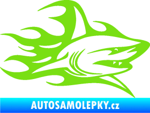 Samolepka Žralok 017 pravá s plameny zelená kawasaki