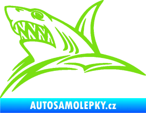 Samolepka Žralok 020 levá v moři zelená kawasaki