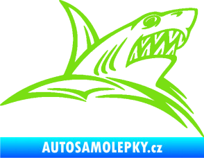 Samolepka Žralok 020 pravá v moři zelená kawasaki