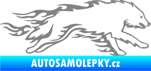 Samolepka Animal flames 032 pravá vlk šedá
