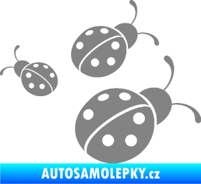 Samolepka Berušky 001 pravá šedá