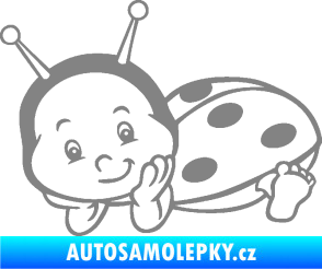 Samolepka Dítě v autě 063 levá beruška šedá