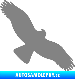 Samolepka Dravec na sklo 001 pravá šedá