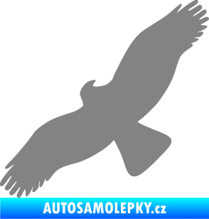Samolepka Dravec na sklo 001 levá šedá