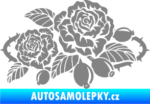 Samolepka Interiér 004 pravá růže šípková šedá