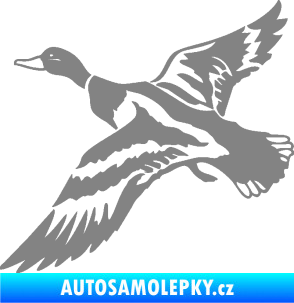 Samolepka Kachna divoká 001 levá kačer šedá