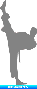 Samolepka Karate 005 levá šedá