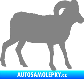 Samolepka Kozel 004 pravá šedá