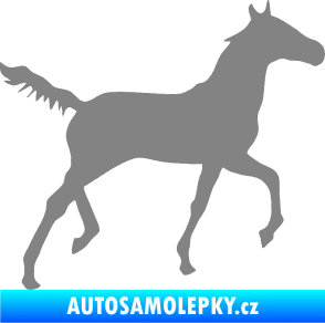 Samolepka Kůň 011 pravá šedá