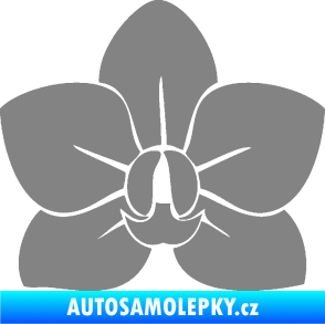 Samolepka Květina dekor 023 orchidej květ šedá