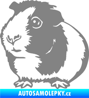 Samolepka Morče 003 levá šedá