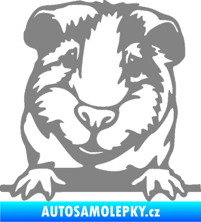 Samolepka Morče 004 levá šedá