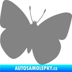 Samolepka Motýl 011 pravá šedá