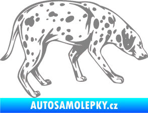 Samolepka Pes 001 pravá Dalmatin šedá