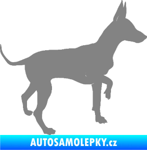 Samolepka Pes 093 pravá Pražský krysařík šedá