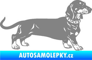 Samolepka Pes 122 pravá jezevčík šedá