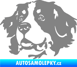 Samolepka Pes 131 levá bernský salašnický pes šedá