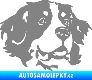 Samolepka Pes 131 pravá bernský salašnický pes šedá