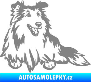 Samolepka Pes 162 pravá sheltie šedá