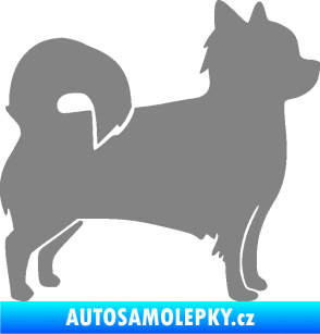 Samolepka Pes 173 pravá čivava šedá