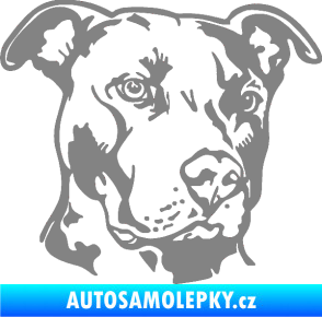 Samolepka Pes 198 pitbull pravá šedá