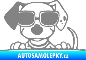 Samolepka Pes s brýlemi 101 levá v autě šedá