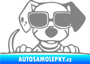 Samolepka Pes s brýlemi 101 pravá v autě šedá