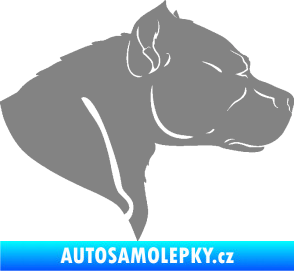 Samolepka Pitbull 004 pravá šedá
