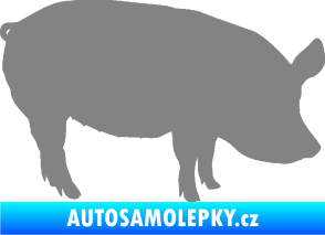 Samolepka Prase 001 pravá šedá