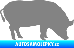 Samolepka Prase 004 pravá šedá