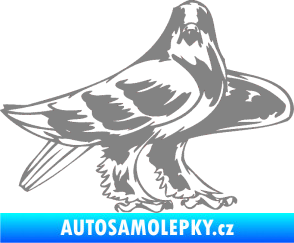 Samolepka Predators 047 pravá šedá