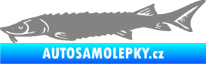 Samolepka Ryba 020 levá jeseter šedá