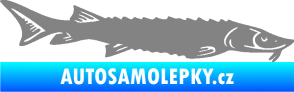 Samolepka Ryba 020 pravá jeseter šedá